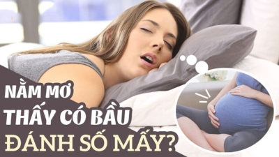 Giải mã nằm mơ thấy có bầu và đâu là con số phát tài?